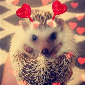 Meet your Posher, Emily